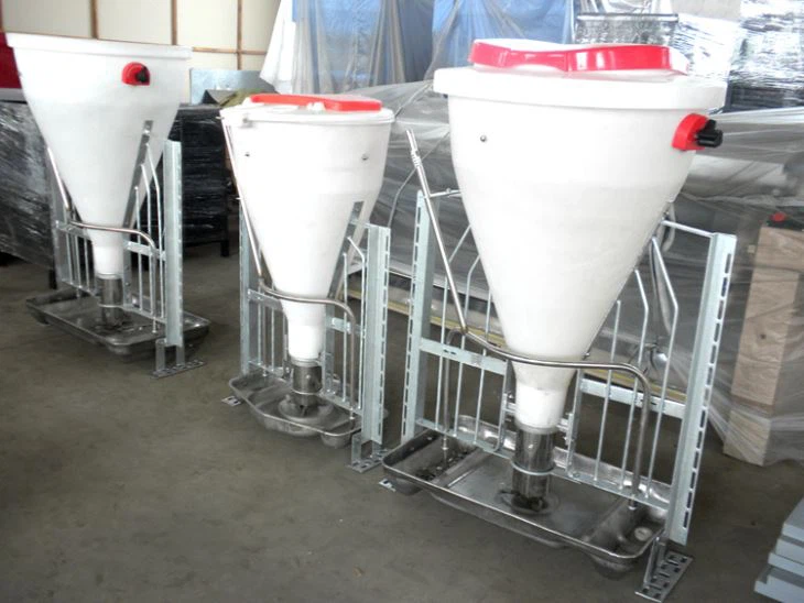 Pig Dry-wet Feeder
