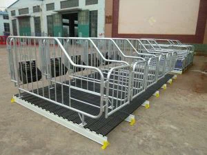 Gushiramo ingurube hamwe nagaburira